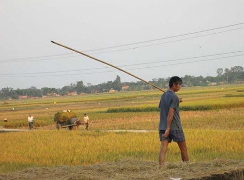 Rural life through children’s eyes  - ảnh 10